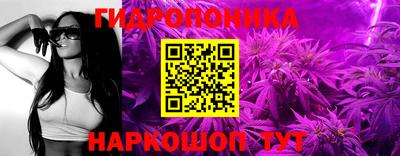 СК Дубна