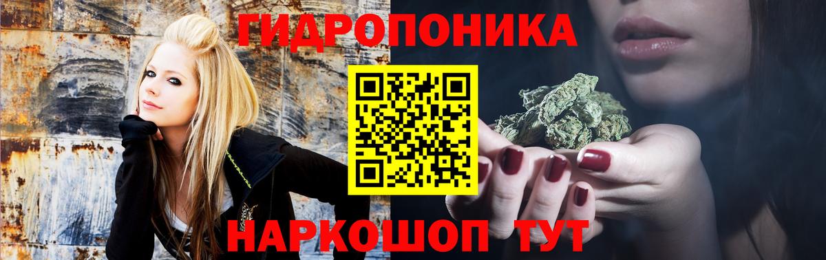 Бошки марихуана THC 21% Канаш